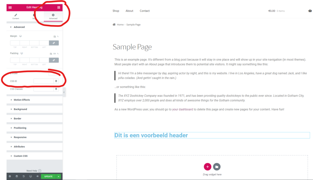 Wordpress Elementor CSS ID ankor link